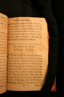 1591 - Pierre Chastaing et Benoît Rigaud - Trésor des bêtes chevalines - BM Bordeaux