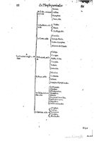 1616 - Étienne Gamonet - Grand trésor ou dispensaire - BSB Munich
