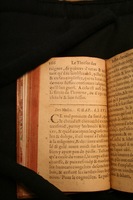 1591 - Pierre Chastaing et Benoît Rigaud - Trésor des bêtes chevalines - BM Bordeaux