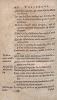 1612 - Dominicus Custos - Trésor des proverbes français  - Bibliopol-Olomuc