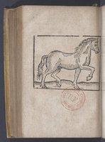 1619 - Pierre Rigaud - Trésor des bêtes chevalines - BnF