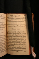 1591 - Pierre Chastaing et Benoît Rigaud - Trésor des bêtes chevalines - BM Bordeaux