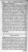 1607 - Étienne Servain et Jean Antoine Huguetan - Trésor de santé ou ménage de la vie humaine - BIU Santé