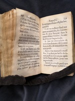 1609 - Théodore Reinsart - Trésor des fleurs du bien dire - Anvers Musée Plantin-Moretus