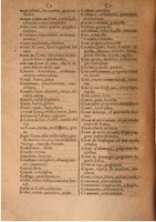 1645 - A. de Sommaville et A. Courbé - Trésor des deux langues espagnole et française (Seconde partie) - BSB Munich