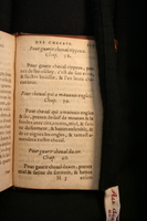 1591 - Pierre Chastaing et Benoît Rigaud - Trésor des bêtes chevalines - BM Bordeaux