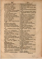 1645 - A. de Sommaville et A. Courbé - Trésor des deux langues espagnole et française (Seconde partie) - BSB Munich