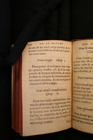 1591 - Pierre Chastaing et Benoît Rigaud - Trésor des bêtes chevalines - BM Bordeaux