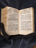 1609 - Théodore Reinsart - Trésor des fleurs du bien dire - Anvers Musée Plantin-Moretus