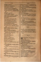 1607 - Marc Orry - Trésor des deux langues espagnole et française (Seconde partie) - BSB Munich