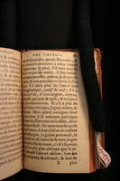 1591 - Pierre Chastaing et Benoît Rigaud - Trésor des bêtes chevalines - BM Bordeaux