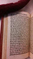 1542 - Denis de Harsy - Trésor de sapience et fleur de toute bonté - BIS
