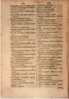 1645 - A. de Sommaville et A. Courbé - Trésor des deux langues espagnole et française (Seconde partie) - BSB Munich