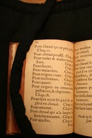 1591 - Pierre Chastaing et Benoît Rigaud - Trésor des bêtes chevalines - BM Bordeaux