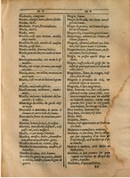 1607 - Marc Orry - Trésor des deux langues espagnole et française (Première partie) - BSB Munich