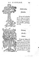 1557 Tresor de Evonime Philiatre Vincent_Page_110.jpg