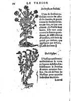 1559 veuve Balthazar Arnoullet et Antoine Vincent Trésor d’Evonime Philiatre_BM Lyon_Page_099.jpg