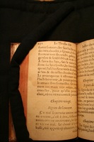 1591 - Pierre Chastaing et Benoît Rigaud - Trésor des bêtes chevalines - BM Bordeaux