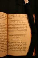 1591 - Pierre Chastaing et Benoît Rigaud - Trésor des bêtes chevalines - BM Bordeaux