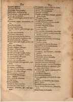 1645 - A. de Sommaville et A. Courbé - Trésor des deux langues espagnole et française (Seconde partie) - BSB Munich