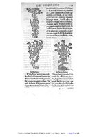 1555 Tresor de Evonime Philiatre Arnoullet 1_Page_067.jpg