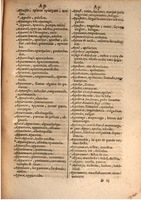 1645 - A. de Sommaville et A. Courbé - Trésor des deux langues espagnole et française (Seconde partie) - BSB Munich
