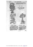 1555 Tresor de Evonime Philiatre Arnoullet 1_Page_076.jpg