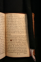 1591 - Pierre Chastaing et Benoît Rigaud - Trésor des bêtes chevalines - BM Bordeaux