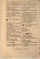 1607 - Marc Orry - Trésor des deux langues espagnole et française (Seconde partie) - BSB Munich