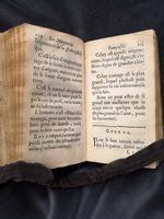 1609 - Théodore Reinsart - Trésor des fleurs du bien dire - Anvers Musée Plantin-Moretus