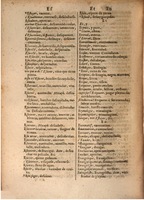 1645 - A. de Sommaville et A. Courbé - Trésor des deux langues espagnole et française (Seconde partie) - BSB Munich