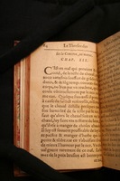 1591 - Pierre Chastaing et Benoît Rigaud - Trésor des bêtes chevalines - BM Bordeaux