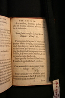 1591 - Pierre Chastaing et Benoît Rigaud - Trésor des bêtes chevalines - BM Bordeaux