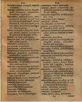 1625 - Hubert Antoine - Trésor des deux langues espagnole et française - Augsbourg