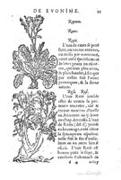 1557 Tresor de Evonime Philiatre Vincent_Page_102.jpg