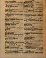 1625 - Hubert Antoine - Trésor des deux langues espagnole et française - Augsbourg