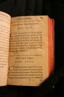1591 - Pierre Chastaing et Benoît Rigaud - Trésor des bêtes chevalines - BM Bordeaux