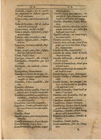 1607 - Marc Orry - Trésor des deux langues espagnole et française (Première partie) - BSB Munich