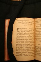 1591 - Pierre Chastaing et Benoît Rigaud - Trésor des bêtes chevalines - BM Bordeaux