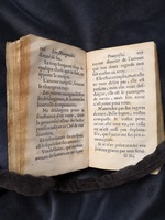 1609 - Théodore Reinsart - Trésor des fleurs du bien dire - Anvers Musée Plantin-Moretus