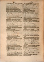 1645 - A. de Sommaville et A. Courbé - Trésor des deux langues espagnole et française (Seconde partie) - BSB Munich