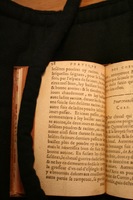 1591 - Pierre Chastaing et Benoît Rigaud - Trésor des bêtes chevalines - BM Bordeaux
