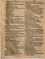 1625 - Hubert Antoine - Trésor des deux langues espagnole et française - Augsbourg