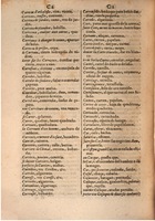 1645 - A. de Sommaville et A. Courbé - Trésor des deux langues espagnole et française (Seconde partie) - BSB Munich