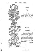 1557 Tresor de Evonime Philiatre Vincent_Page_109.jpg