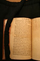 1591 - Pierre Chastaing et Benoît Rigaud - Trésor des bêtes chevalines - BM Bordeaux
