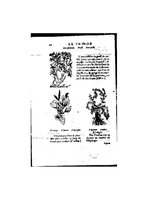 1555 Tresor de Evonime Philiatre Arnoullet 2_Page_073.jpg