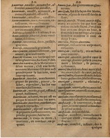 1625 - Hubert Antoine - Trésor des deux langues espagnole et française - Augsbourg