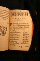 1591 - Pierre Chastaing et Benoît Rigaud - Trésor des bêtes chevalines - BM Bordeaux