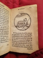 1586 - Benoît Rigaud - Trésor des fleurs et secrets de médecine - Sainte-Geneviève